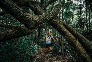 BIB: 
                            <button type="button" onclick="openModal(25664197)" class="btn btn-primary btn-sm float-right btn-popup" data-toggle="modal" data-target=".modal-high-quality">
                        <i class="fas fa-shopping-cart"></i> Add to Cart
                    </button>
                                            <button type="button" onclick="isThisMe(25664197, true)" class="btn btn-success btn-sm float-right btn-popup btn-isme hidden" data-toggle="tooltip" data-placement="bottom" title="นี่คือรูปของคุณใช่ไหม คลิกที่นี่เพื่อเอาเข้าอัลบั้ม">
                        <i class="fas fa-plus"></i> Add to album
                    </button>
                    <button type="button" onclick="isThisMe(25664197, false)" class="btn btn-warning btn-sm float-right btn-popup btn-isnotme hidden">
                        <i class="fas fa-ban"></i> Remove from album
                    </button>